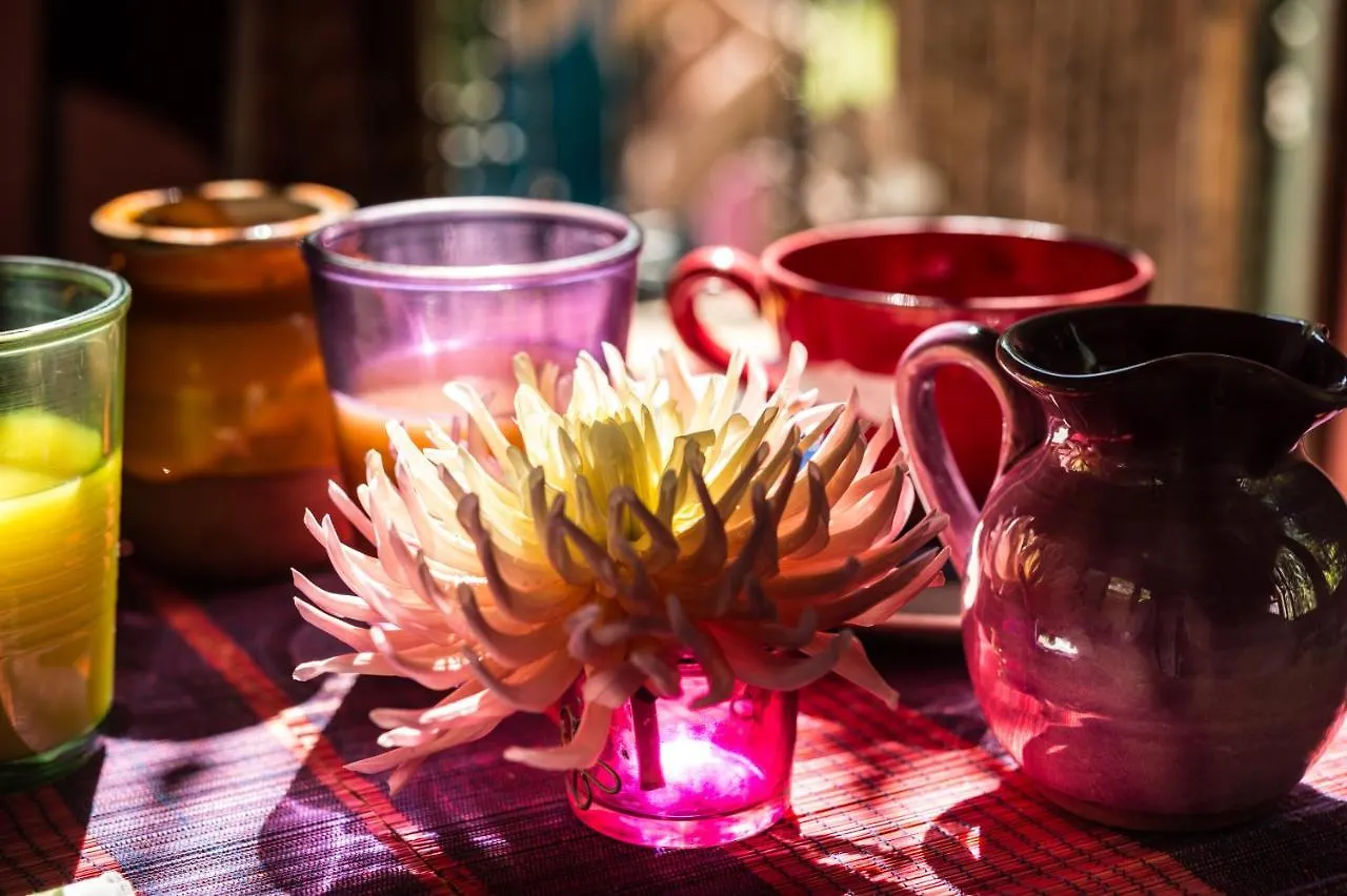 Bed & Breakfast La Petite Calanque Bed and Breakfast Marseille Frankrig