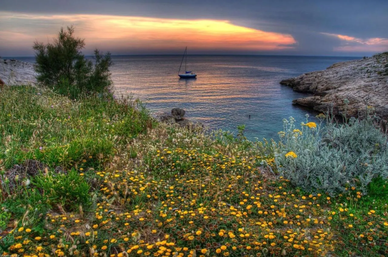 Bed & Breakfast La Petite Calanque Bed and Breakfast Marseille
