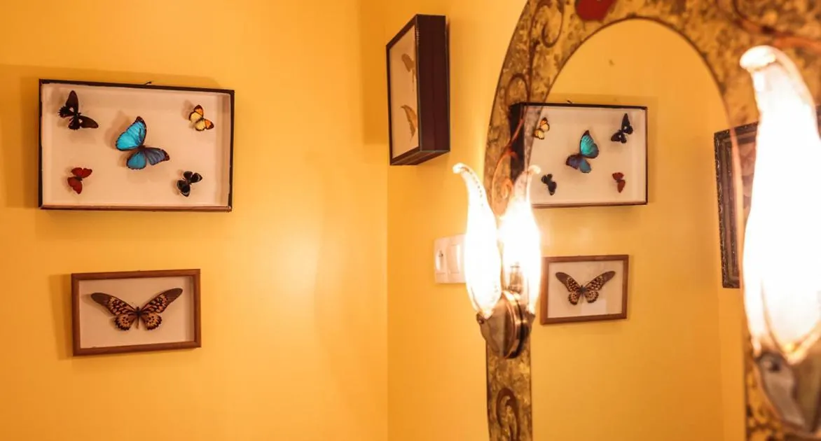 La Petite Calanque Bed and Breakfast Marseille
